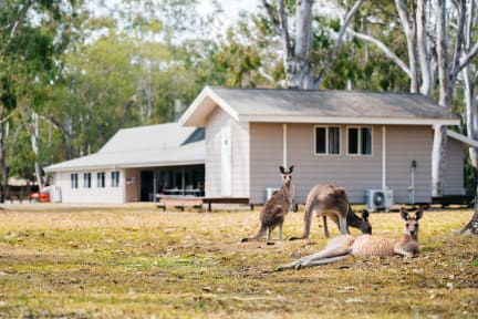 Kangarooms Noosa Everglades Noosa Preise Und Bewertungen