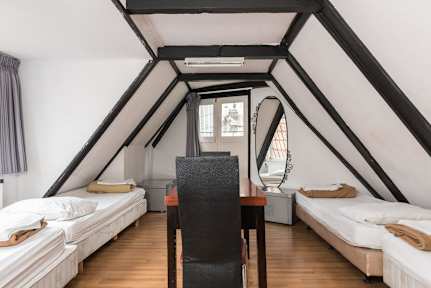 Kuvia paikasta: The White Tulip Hostel