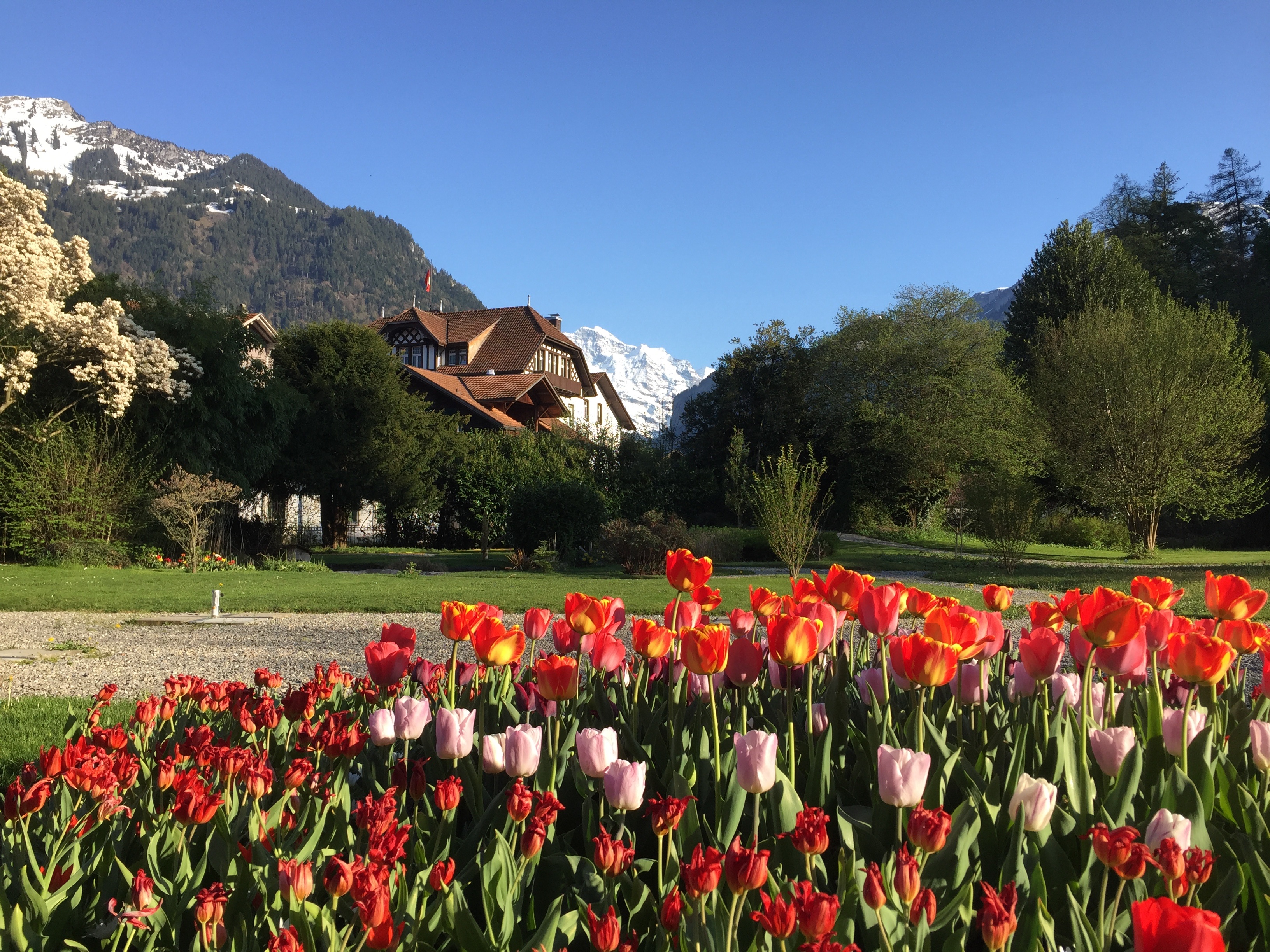 FunnyFarm in Interlaken, Switzerland Hostel