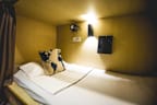 Traveller Bunker Hostel