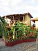 Troncones Point Hostel