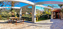 Apartments Stankovic