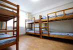 Woogie's Guest House and Tour