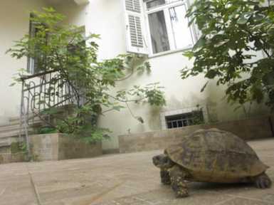 Fotky Split Guesthouse & Hostel