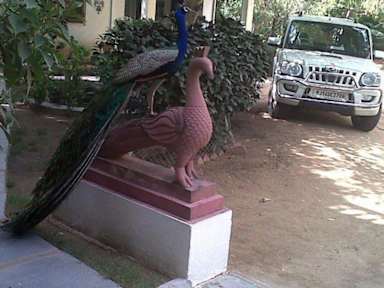 Photos of Shahar Palace-The Peacock Garden
