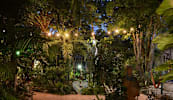 El Jardin de Frida