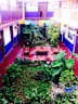 Hostal El Nagual