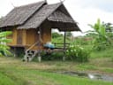 Yawning Fields Guesthouse