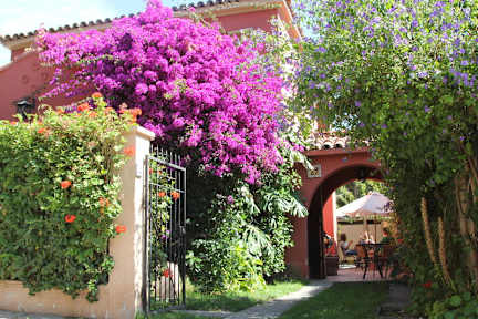 Zdjęcia nagrodzone Hostal El Arbol