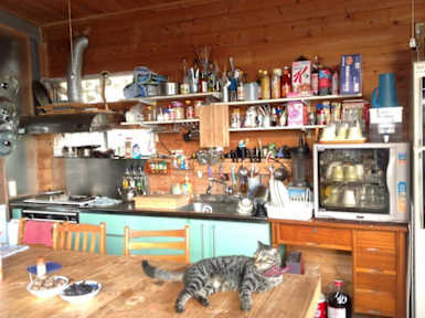 Photos of Hostel Dandelion