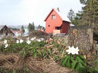 Photos of Sepic Accommodation