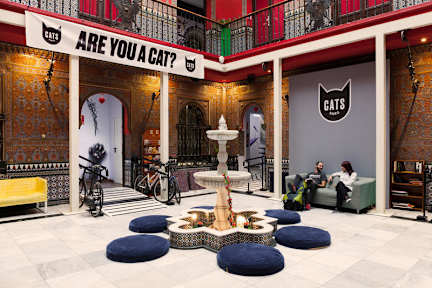 Kuvia paikasta: CATS Party Hostel