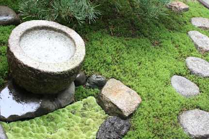 はる家 Aquaの写真
