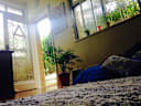 Aquarela SP Hostel