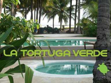 Fotos de La Tortuga Verde El Cuco