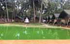 Goa Wanderers Hostel