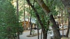Yosemite Bug Rustic Mountain Resort