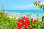 Baobab Beach Lodge and Backpackers