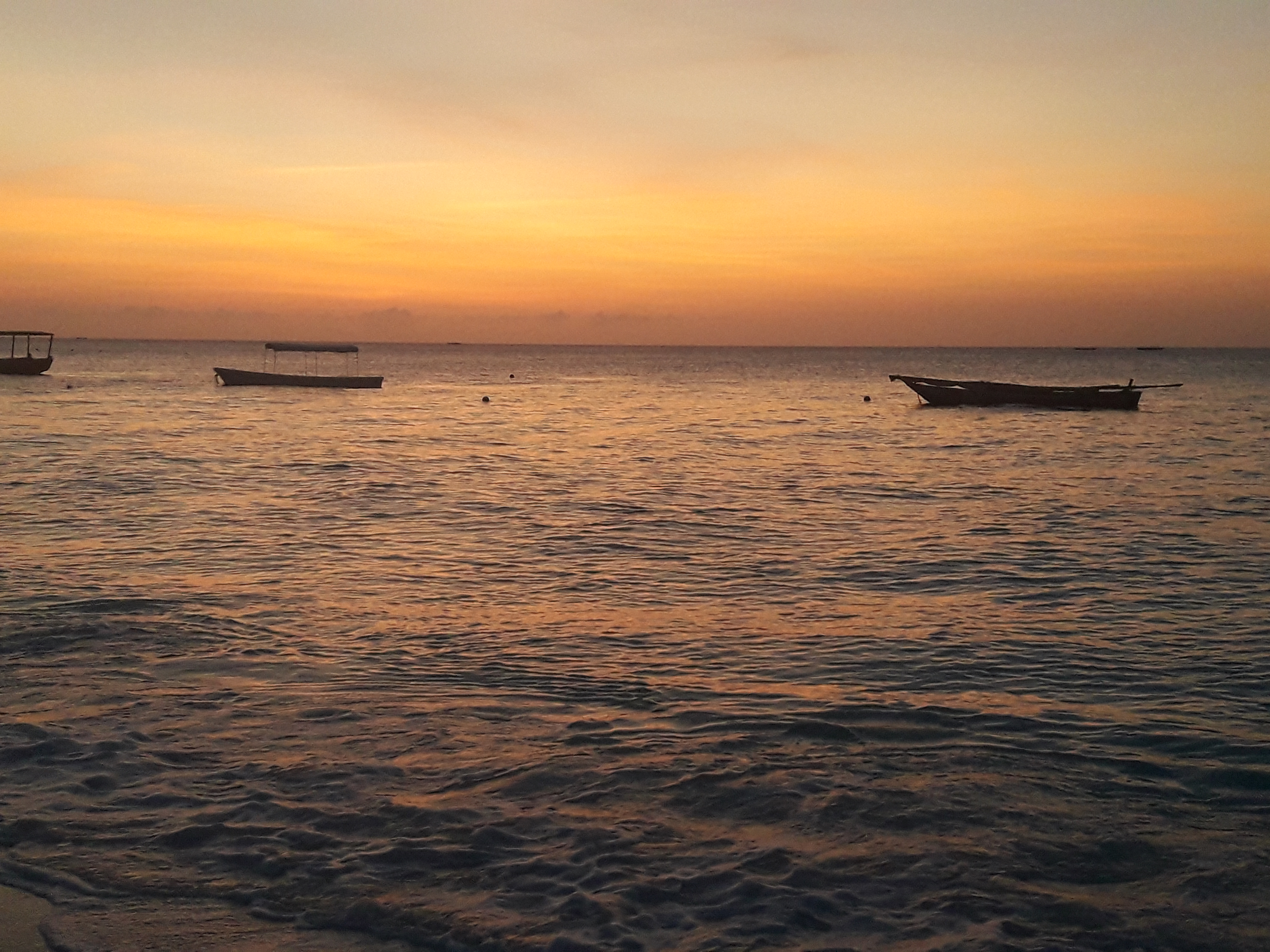 Ebony Ivory Beach Bungalows Nungwi Tanzania Hotels Lonely Planet