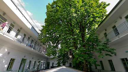 The Hive Party Hostel Budapestの写真