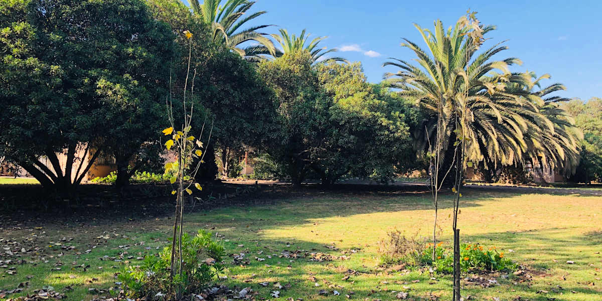 Eco lodge El Arbol