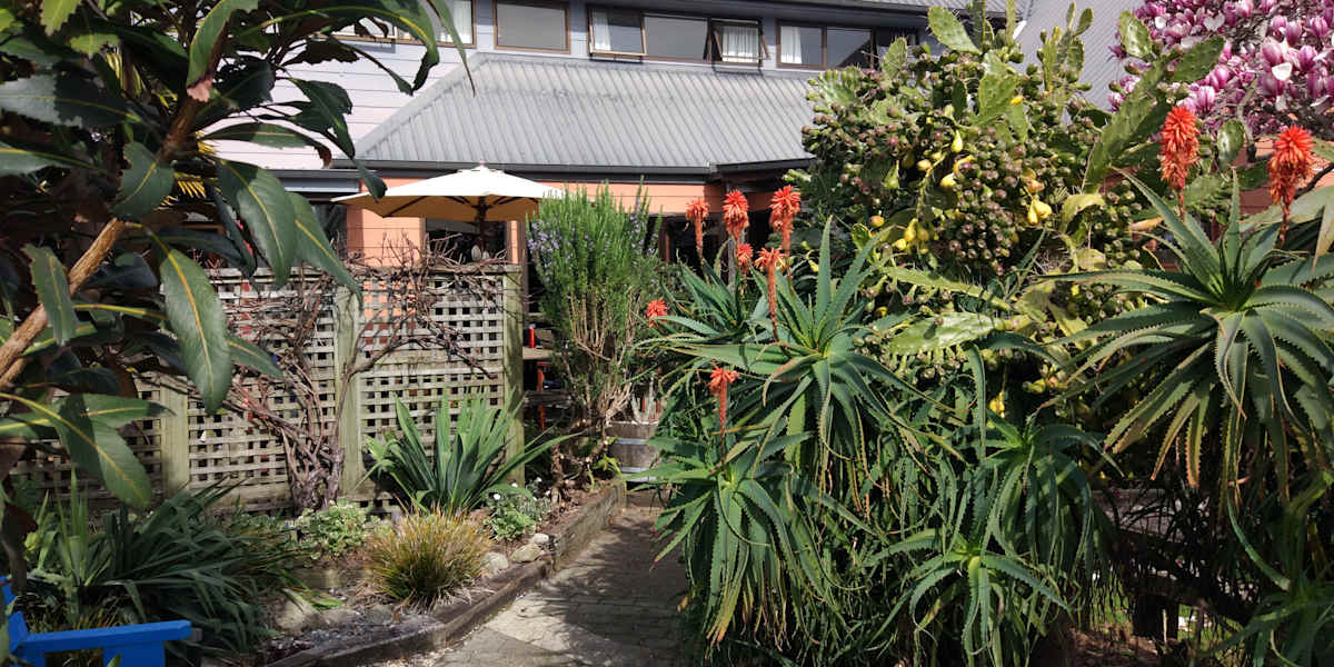 Tasman Bay Backpackers
