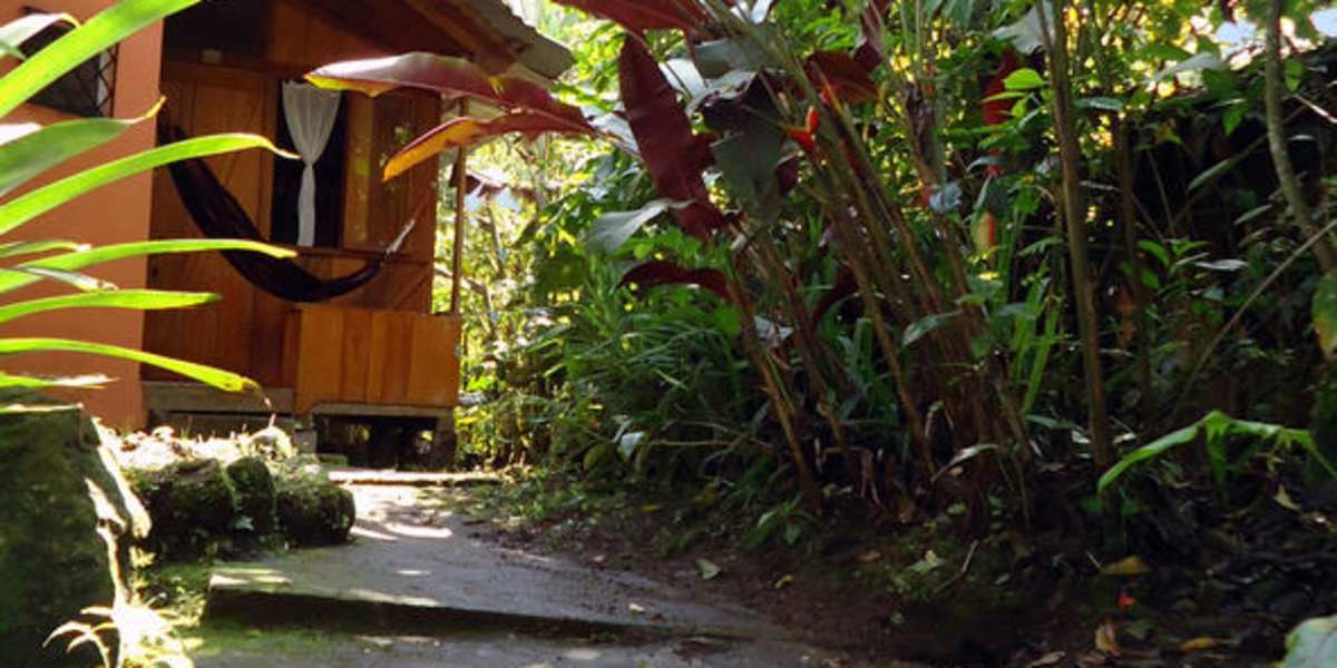 Cabañas Armonia y Jardín de Orquídeas