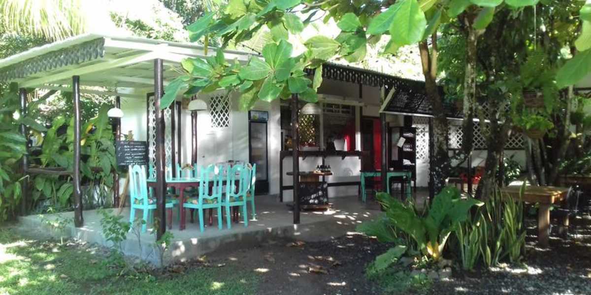 Bajo el Arbol B&B