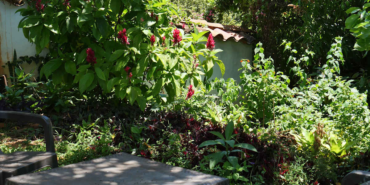 Nacuma Garden Hostel
