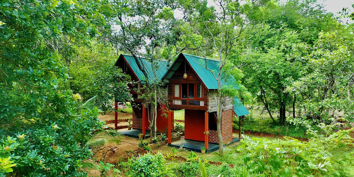 Mango Tree Home Stay