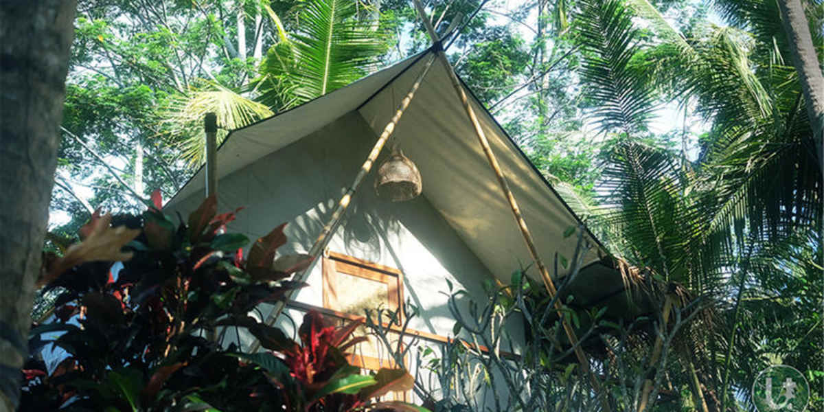 Ubud Tropical