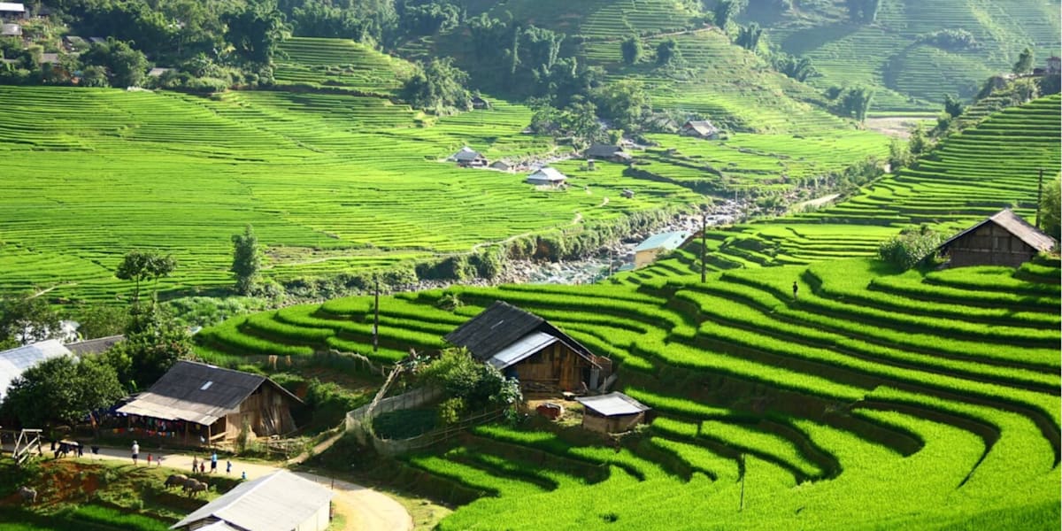 Hmong Sister House and Trekking