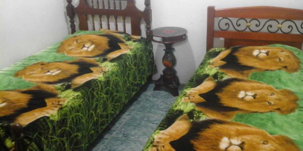 Hostel Los Tres Leones