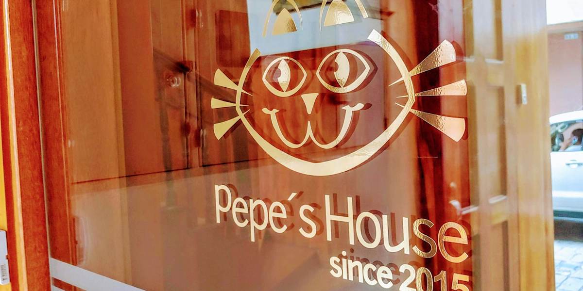 Pepe's House Cuenca
