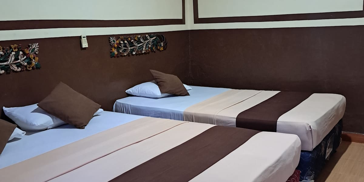 Cozy Alfia Inn