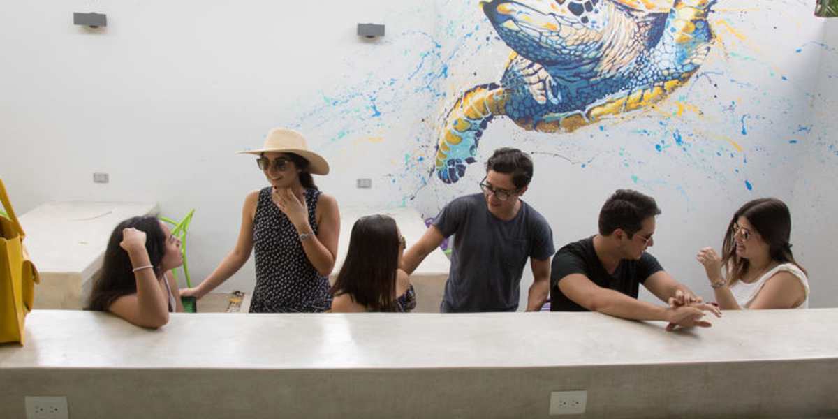 Hostel Tropico 20 OceanFront