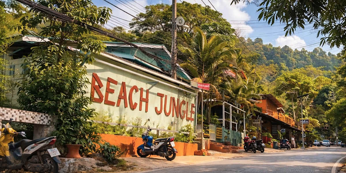 Beach Jungle Hostel