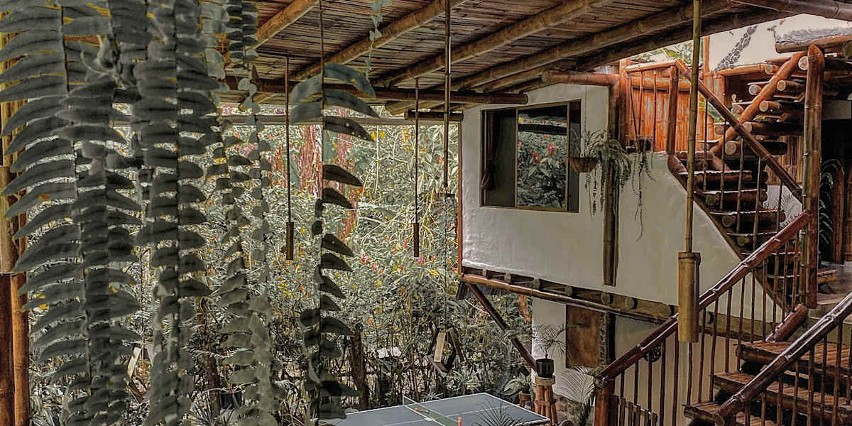 Cinnamon house