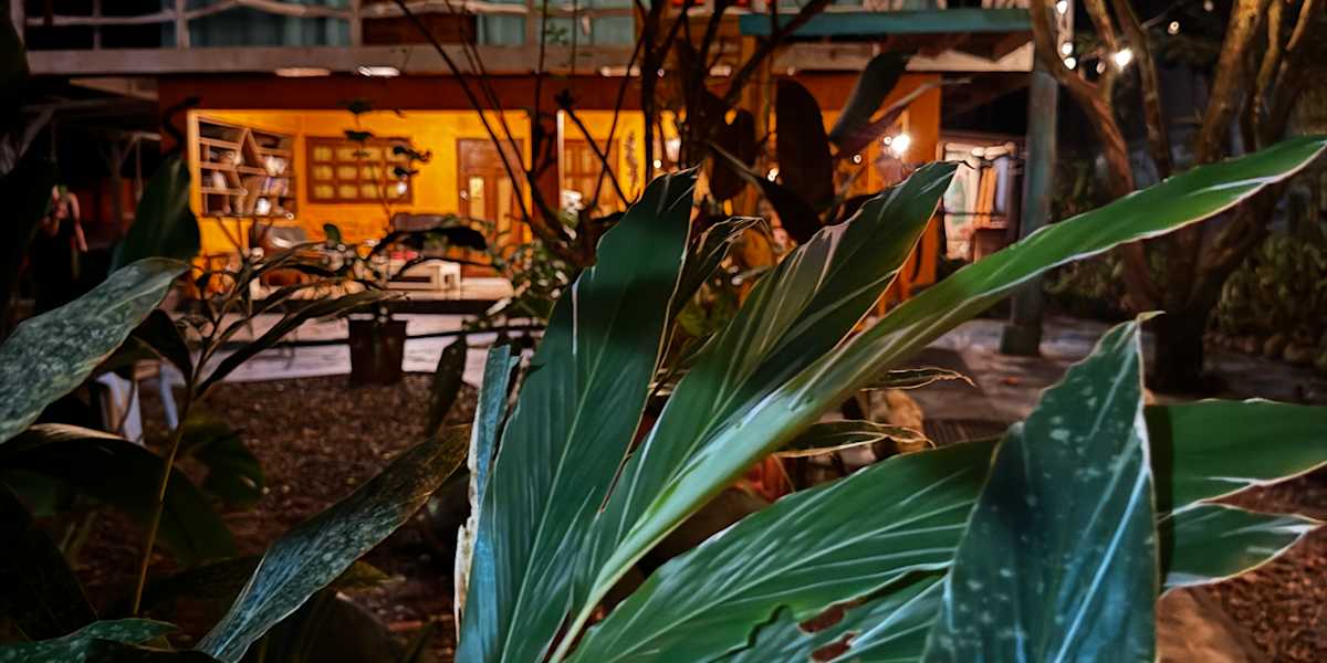 Madre Selva Hostel