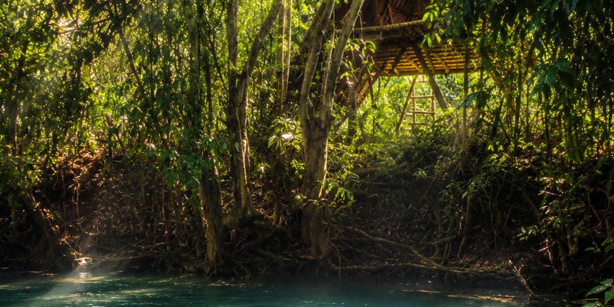 Ecocio Jungle Hostel