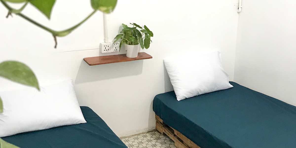 Sacred Lotus - Vegan - Café x Hostel