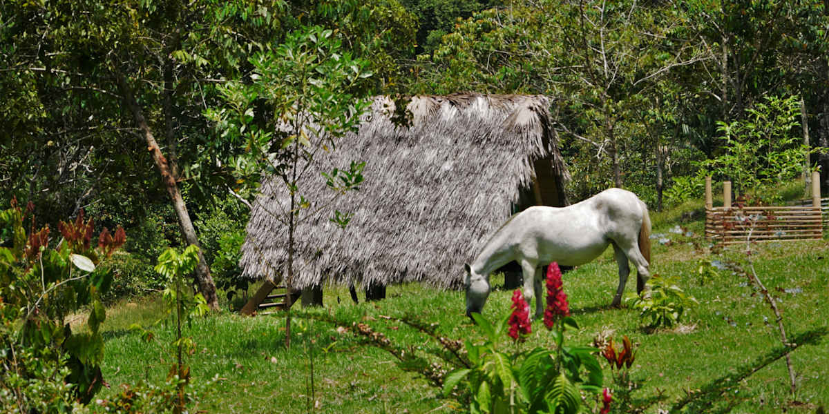 La Perla Negra Eco-Lodge & Hostel