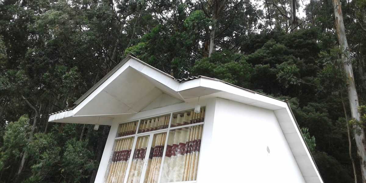 Woods Hut