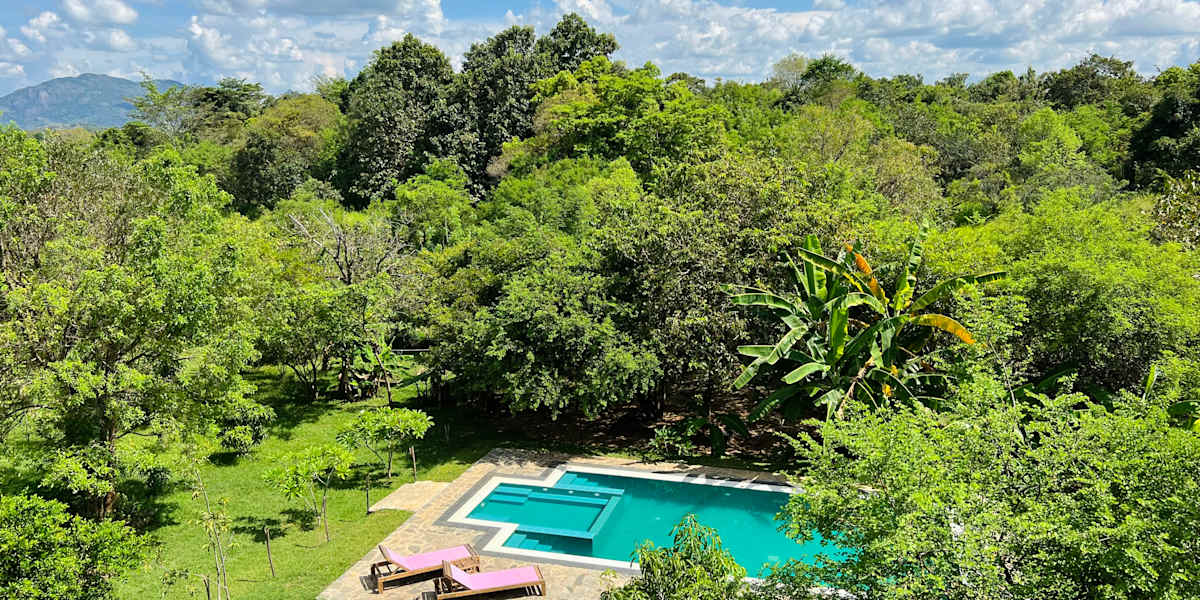 Into The Wild Sigiriya