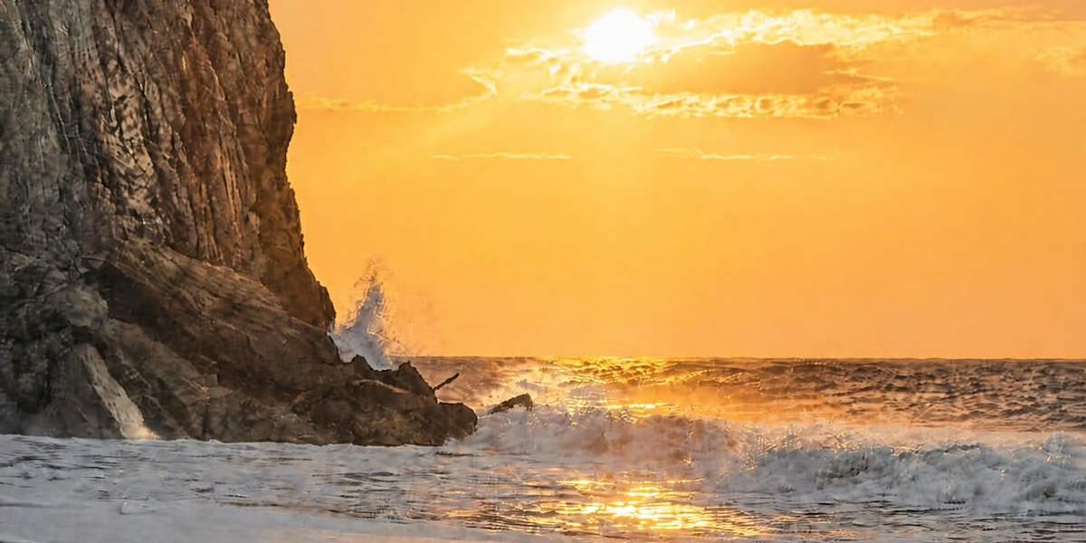 Cocobeach Palomino