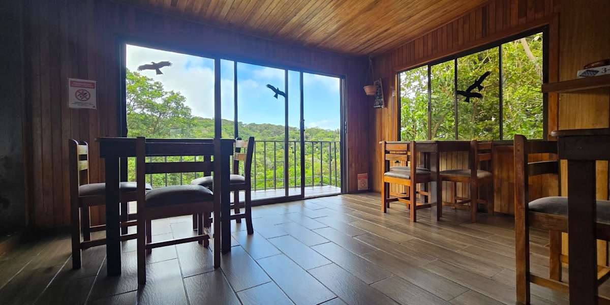 Monteverde Monkey Hostel