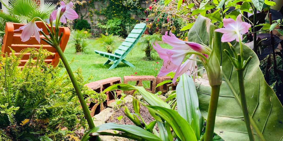 Casa Flor De Vida