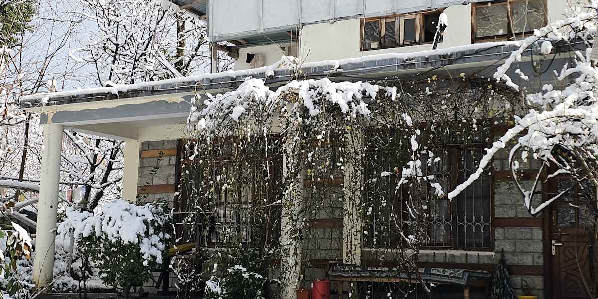 Mars Monkey Hostel and Cafe