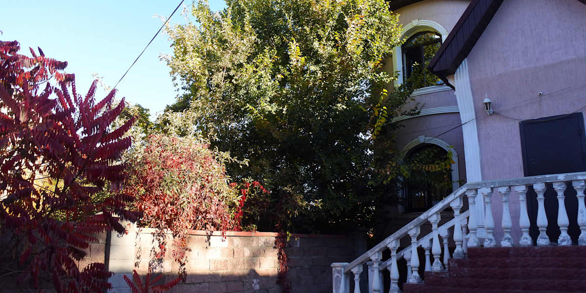 Almaty Backpackers