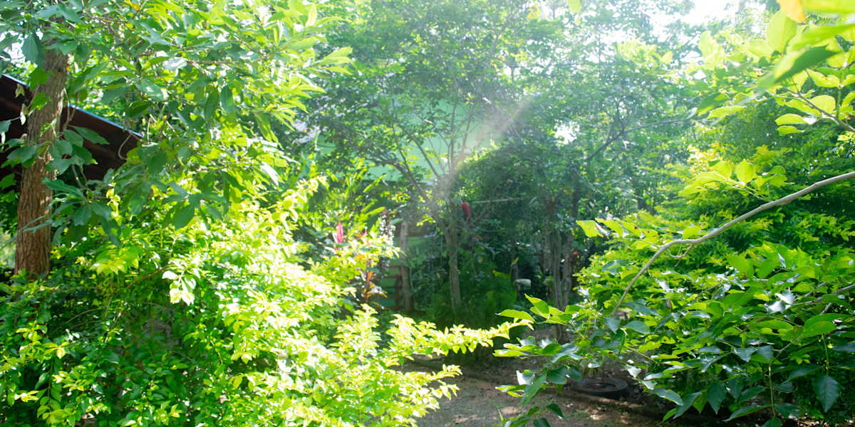 Evergreen Villa Nature Resort